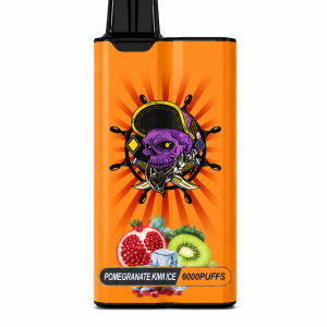 X PRO – POMEGRANATE KIWI ICE 6000 PUFFS