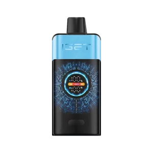 IGET One – Blueberry Ice 12,000 puffs