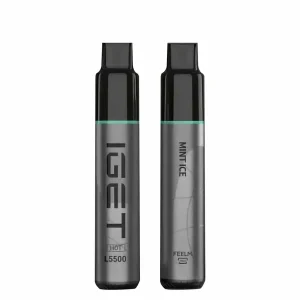 Mint Ice 5500 Puffs Disposable Vape