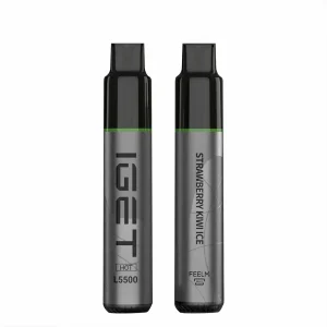 Strawberry Kiwi Ice 5500 Puffs Disposable Vape